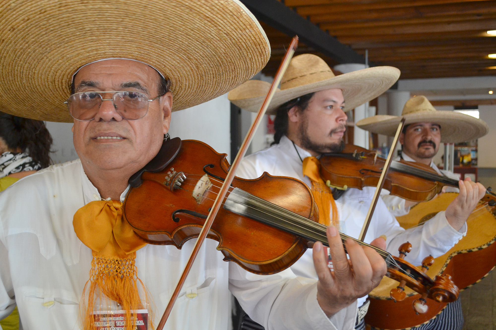 Llega a Jalisco el Encuentro Nacional de Mariachi Tradicional ...