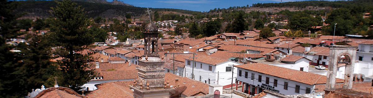 Desarrollo Sectorial y Vinculación Municipal