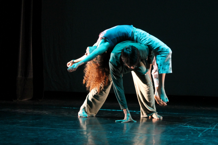 Presentan Proyecto cansado  y 4 Visiones del paraíso en el Festival Onésimo González