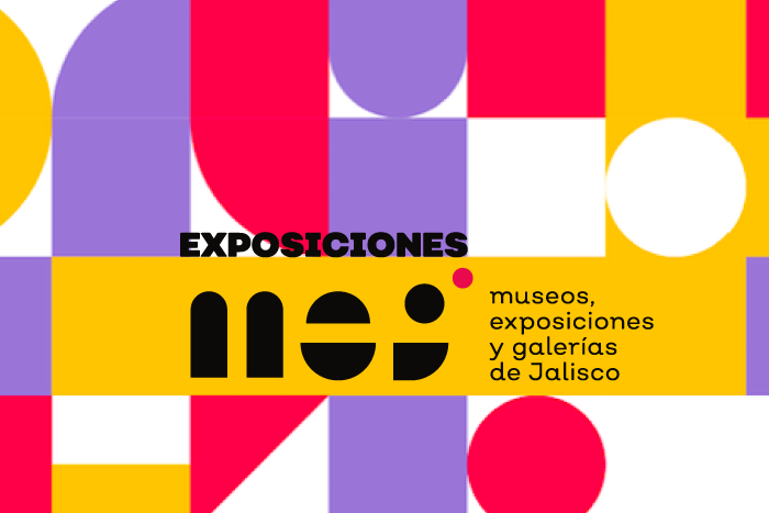 Exposiciones MEG noviembre